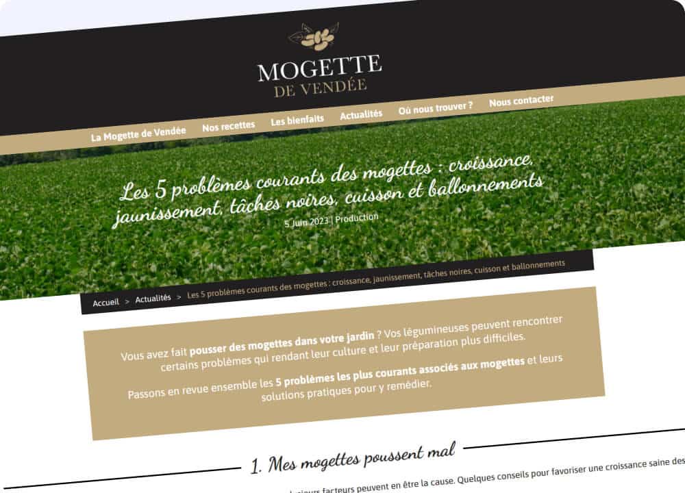 Article Mogette