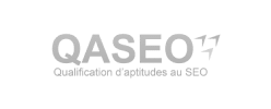 QASEO : des experts SEO certifiés